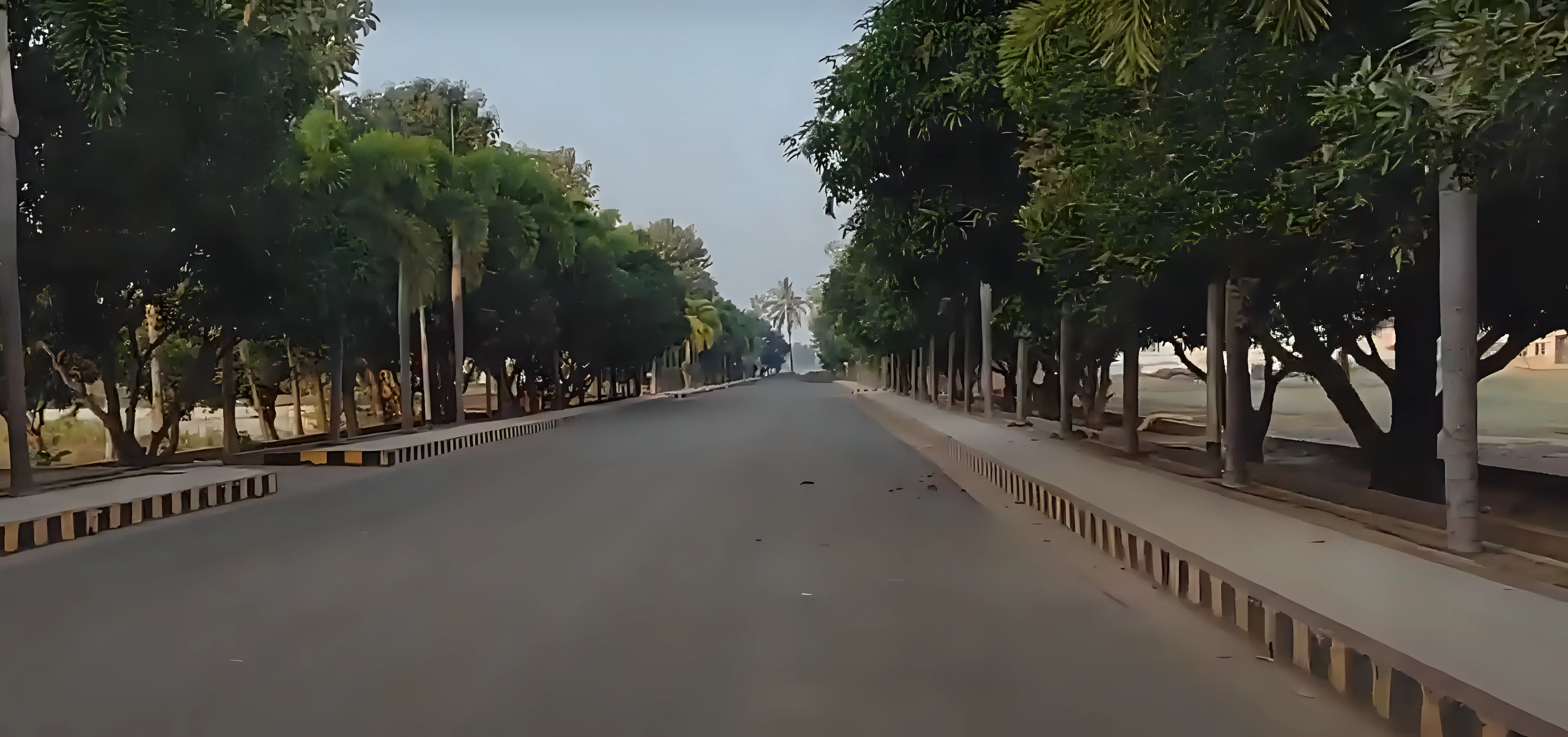 SASI Campus photo 28